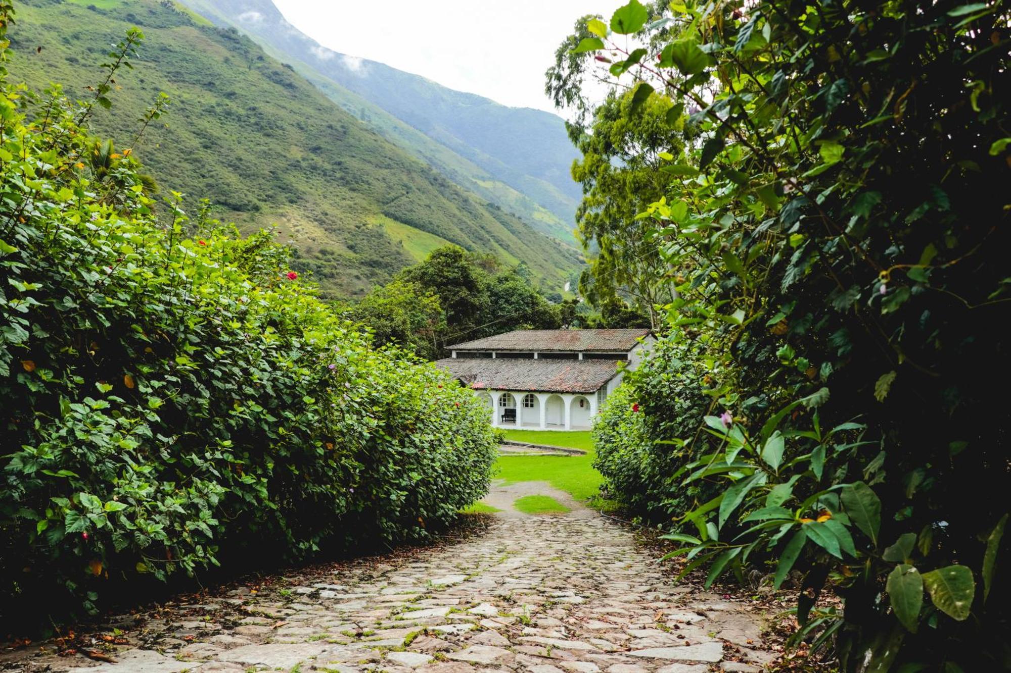 Hosteria La Eterna Primavera Huigra Eksteriør billede
